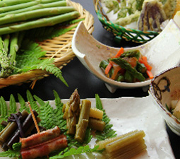 6月限定の旬の味覚
会津アスパラ