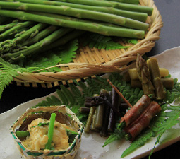 6月限定の旬の味覚
会津アスパラ